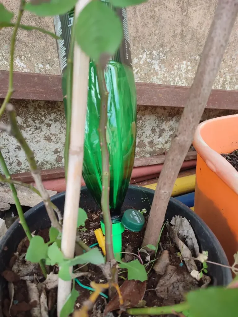 12-delni set avtomatskega zalivalnika rastlin photo review