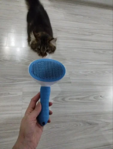 Krtača za dlako na KLIK photo review