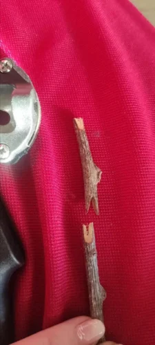 Škarje za cepljenje in obrezovanje drevja | HyperCut 2.0 photo review