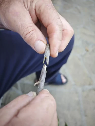 Škarje za cepljenje in obrezovanje drevja | HyperCut 2.0 photo review