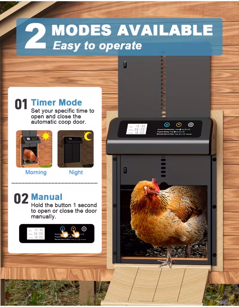 Predstavitev avtomatskih vrat za kokoši z dvema načinoma delovanja timer in ročni način z ikonami in kokošjo ob vratih